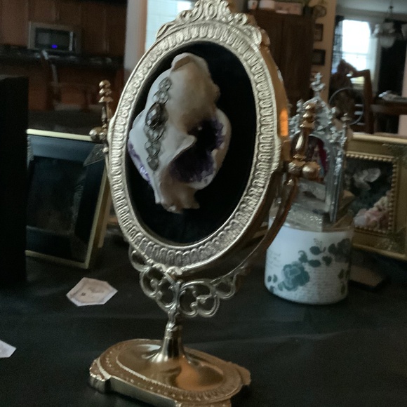 Custom made faux cat skull - Picture 2 of 2